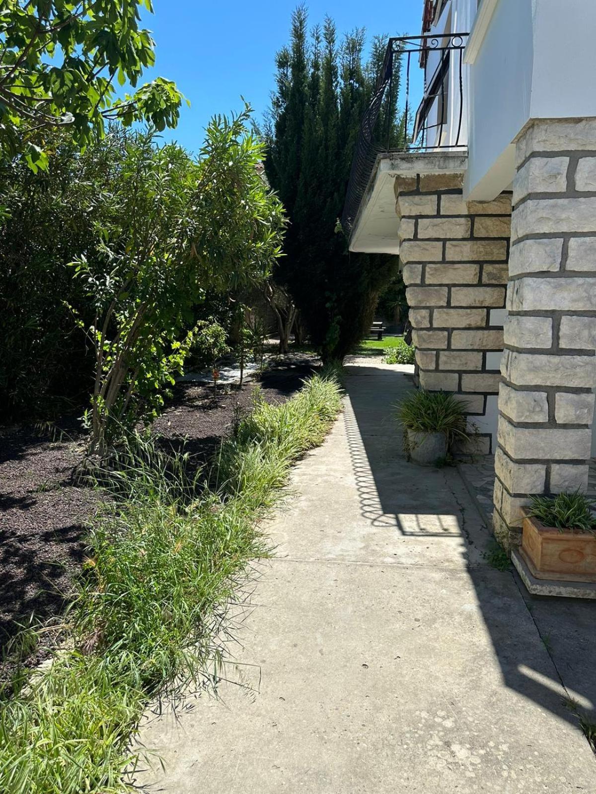 Appartement L'Olivier Arles Kültér fotó